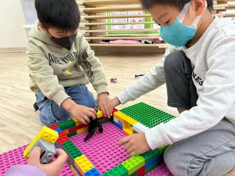 自在探索，快樂學習 ✨