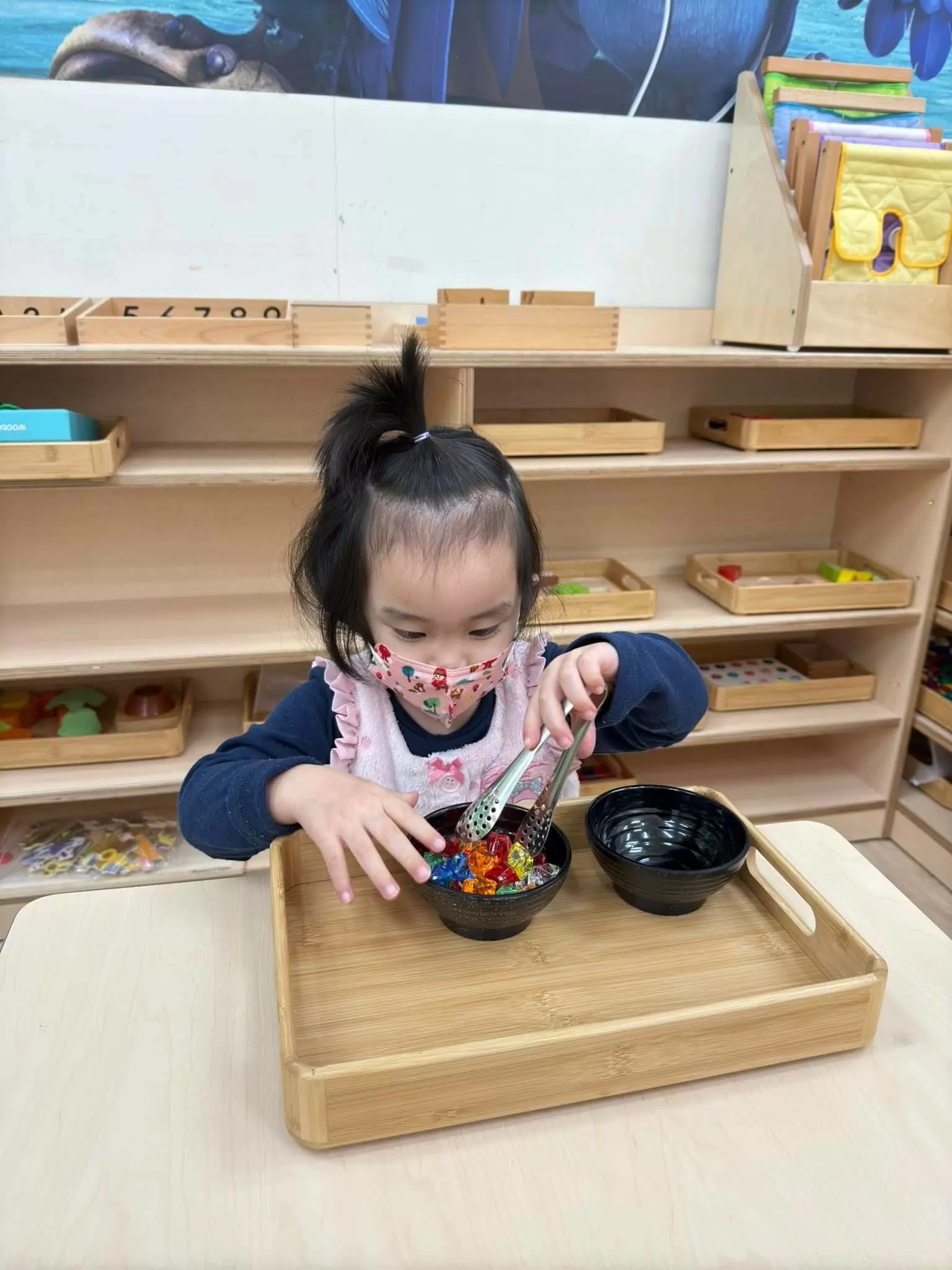 自在探索，快樂學習 ✨