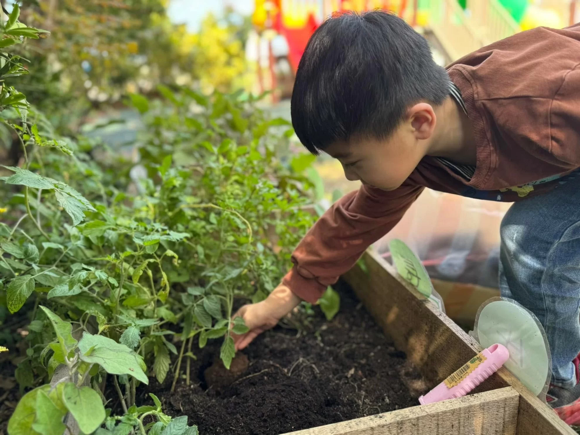 小小農夫日 🧑🏻‍🌾