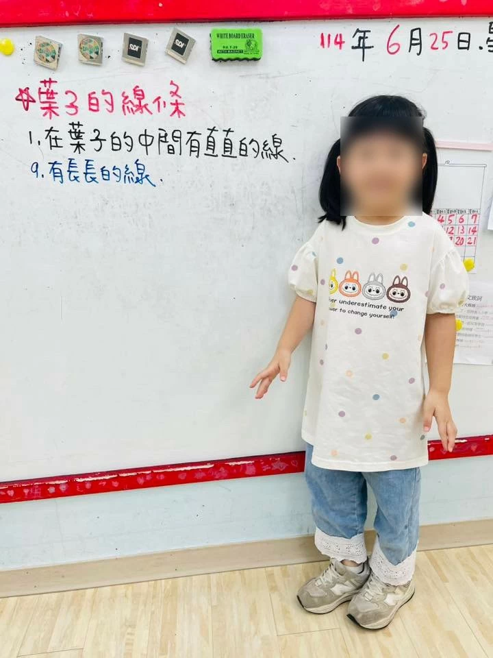 主題活動|葉脈書籤 🍃 主題活動|葉脈書籤 🍃