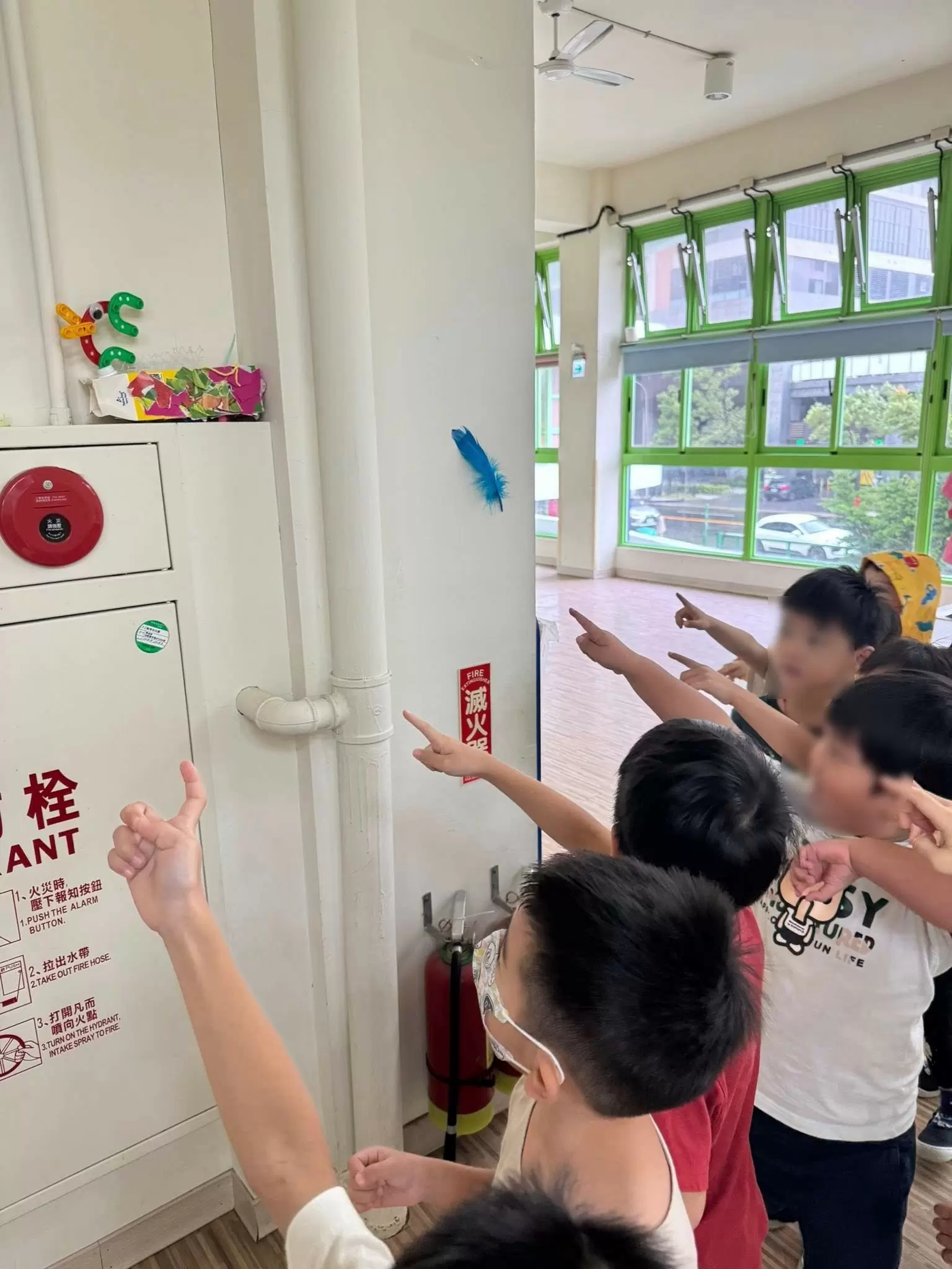 主題課程|飛羽任務:尋找 11 個鳥窩! 主題課程|飛羽任務:尋找 11 個鳥窩!