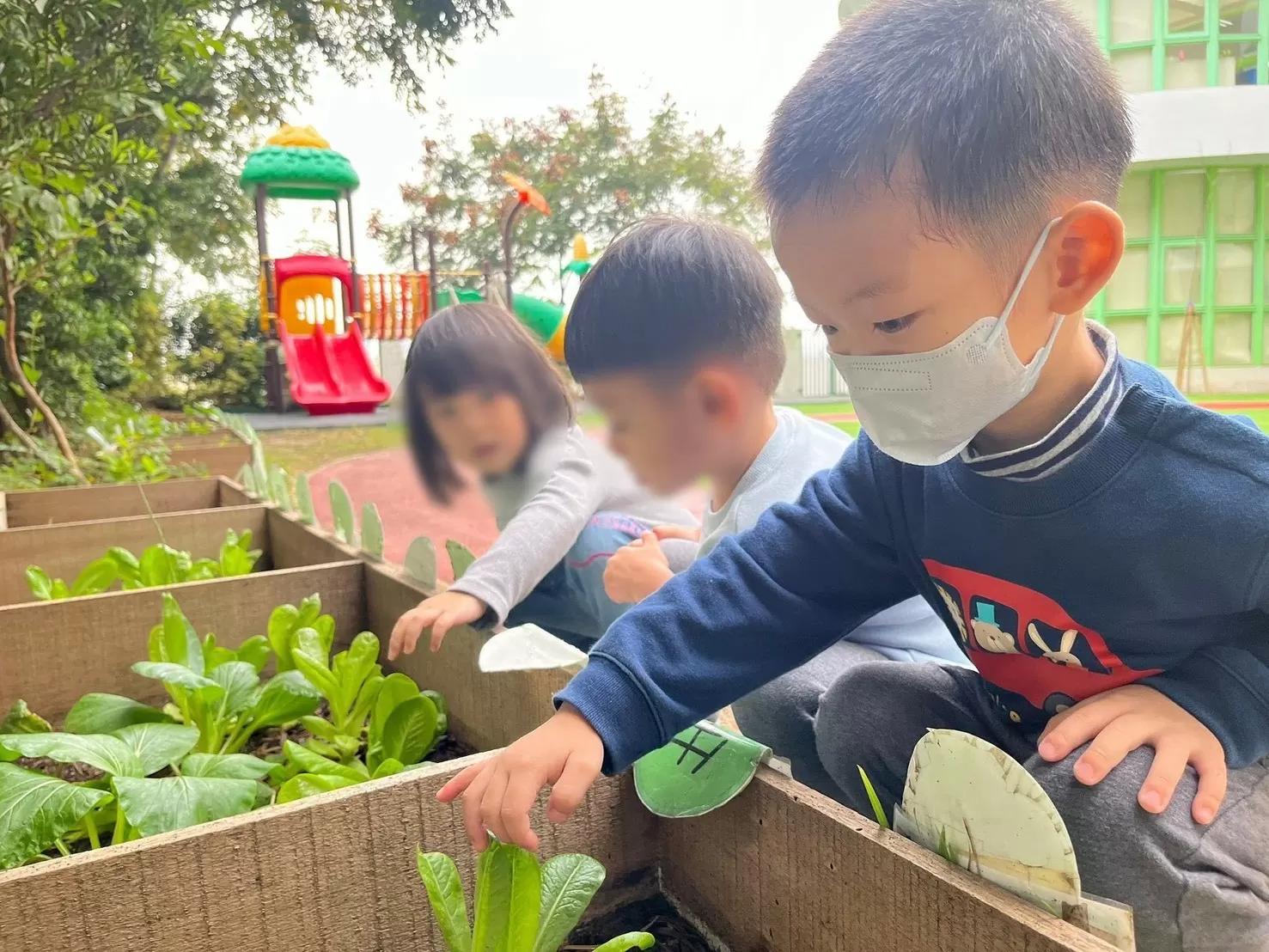 👩🏻‍🌾 小農夫觀察日記 🧑🏻‍🌾
