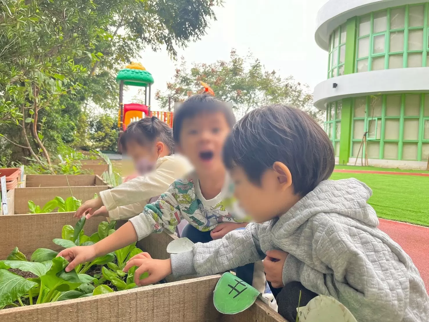 👩🏻‍🌾 小農夫觀察日記 🧑🏻‍🌾