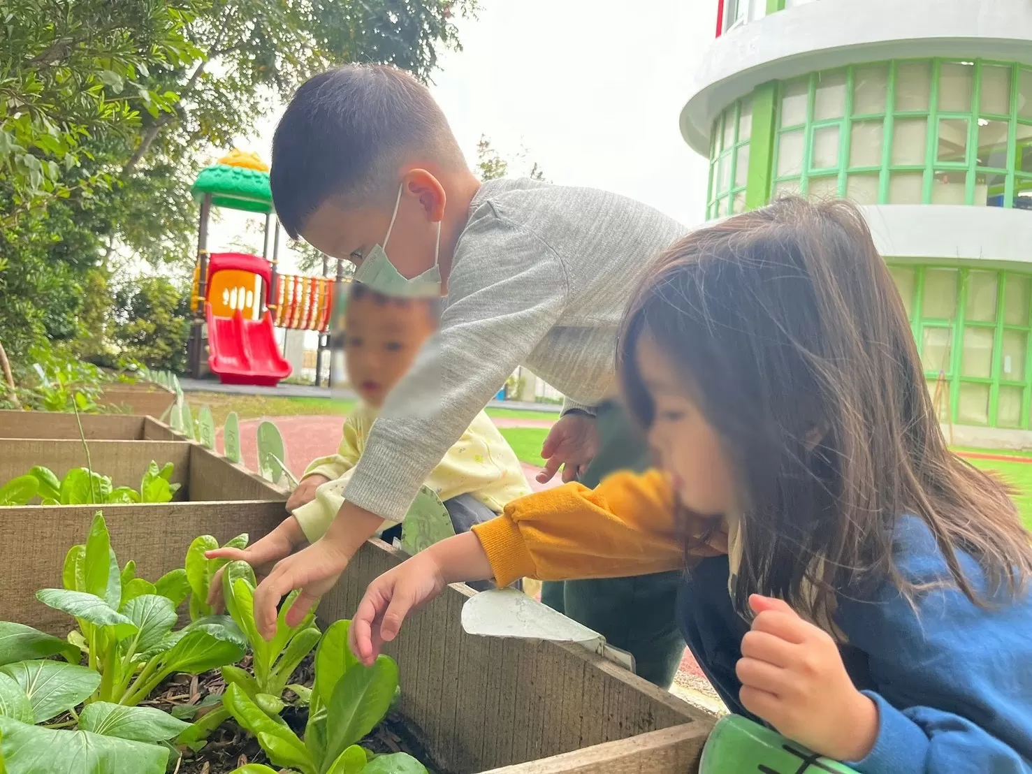 👩🏻‍🌾 小農夫觀察日記 🧑🏻‍🌾