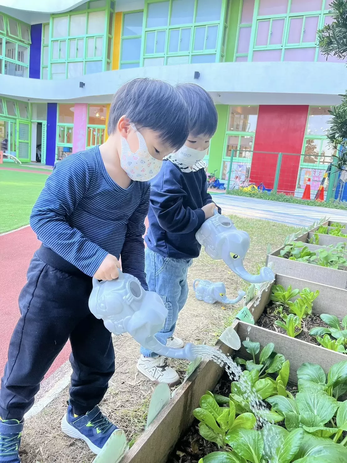 👩🏻‍🌾 小農夫觀察日記 🧑🏻‍🌾