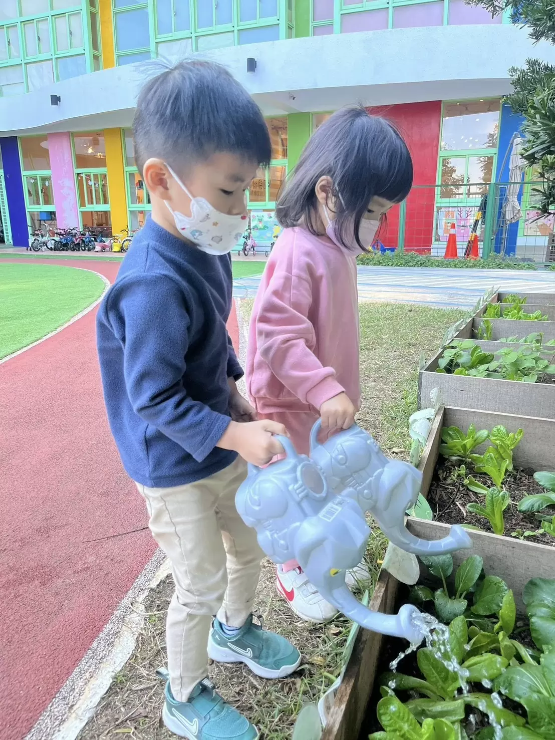 👩🏻‍🌾 小農夫觀察日記 🧑🏻‍🌾