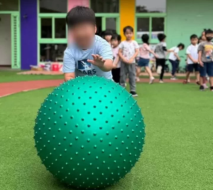 體能趣味活動—大龍球