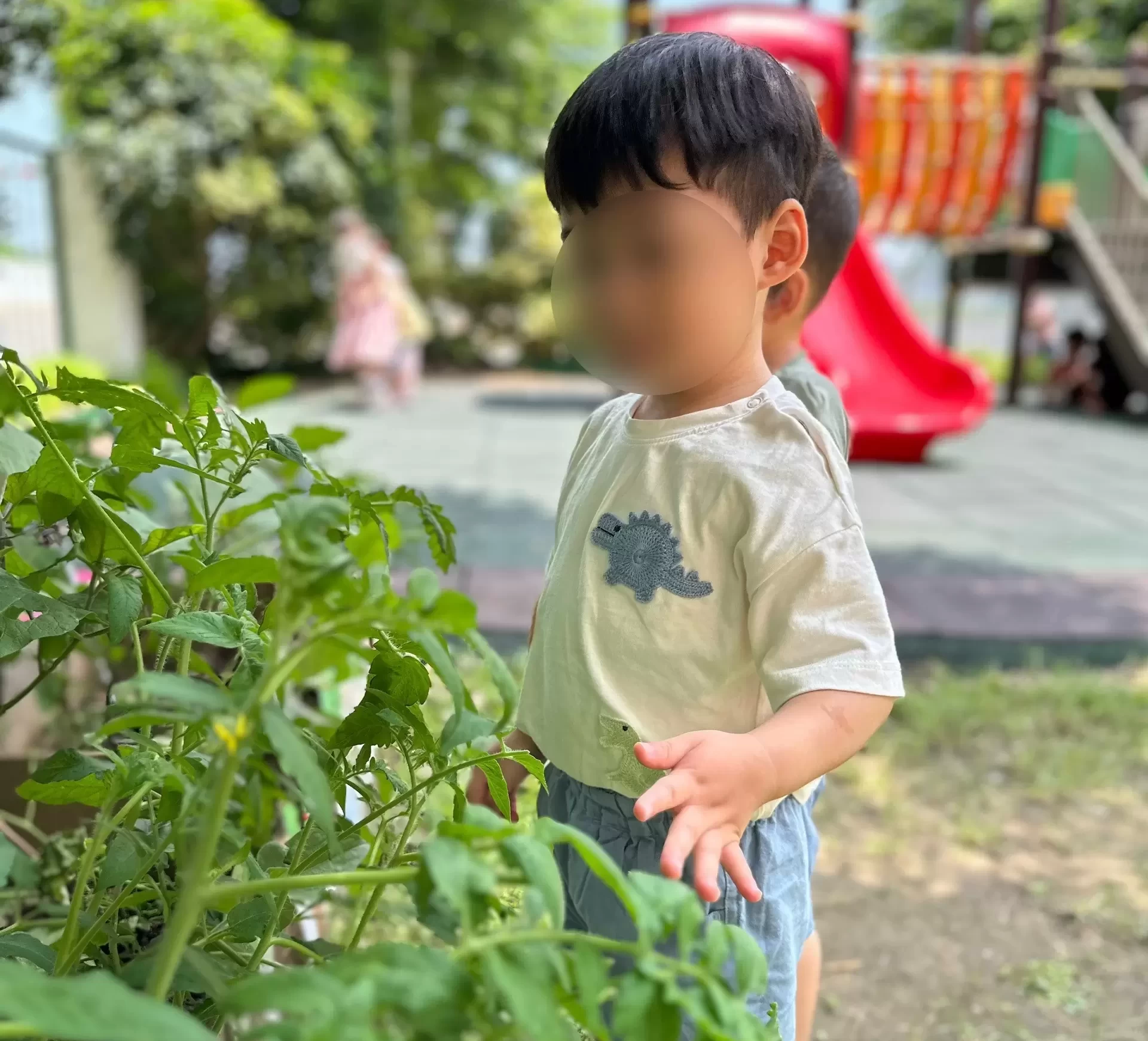 【小小農夫日記 👩🏻‍🌾】