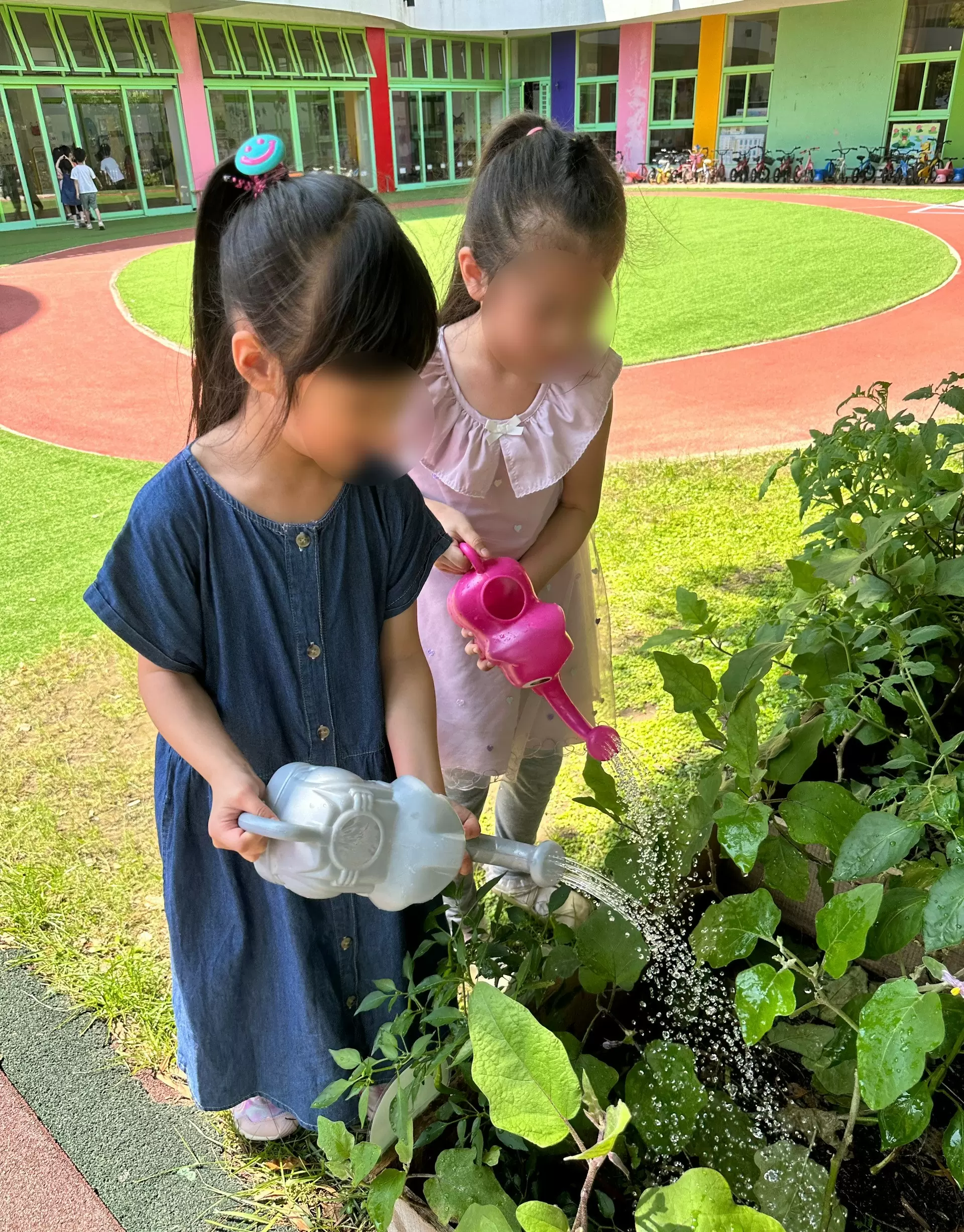 【小小農夫日記 👩🏻🌾】 【小小農夫日記 👩🏻🌾】
