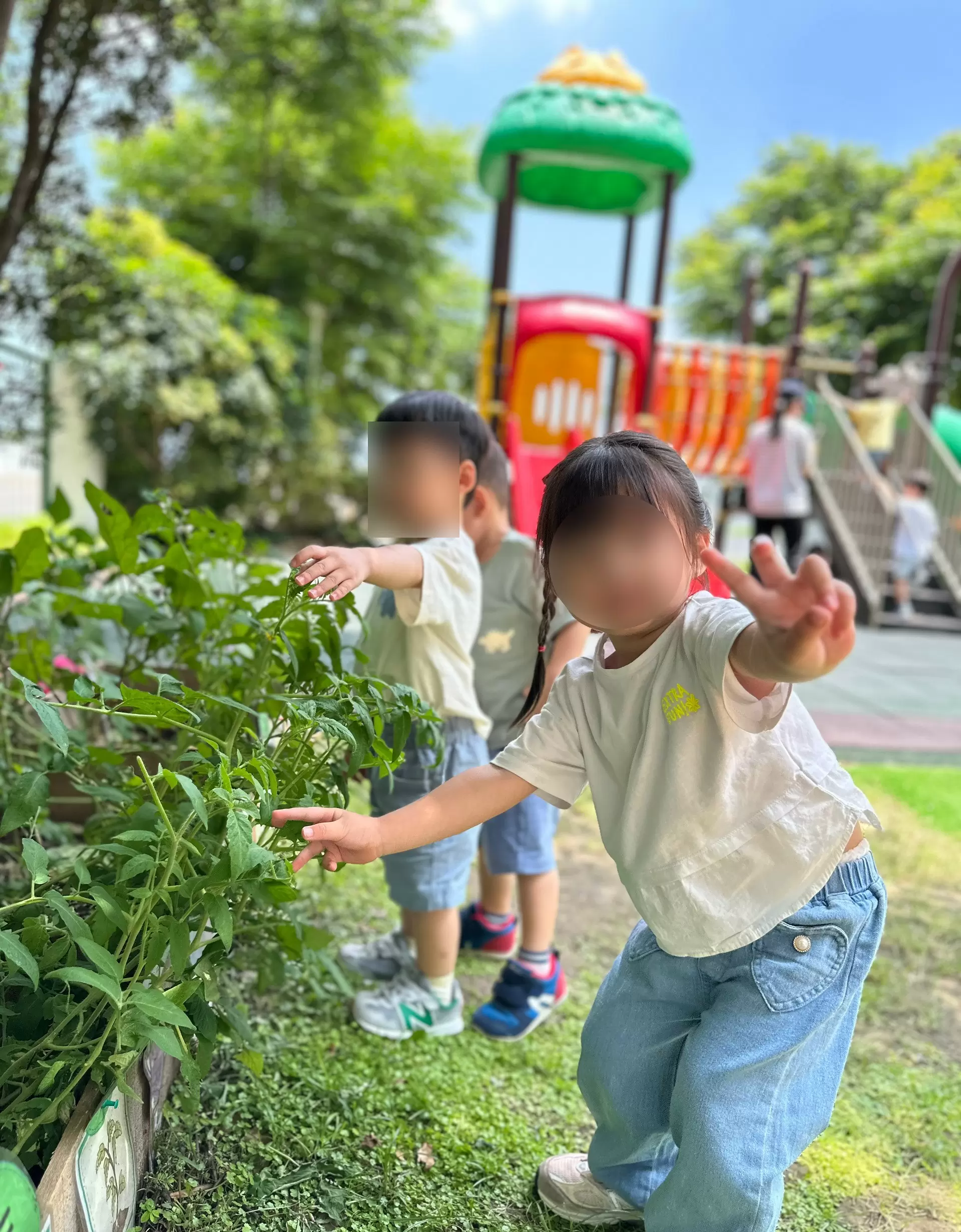 【小小農夫日記 👩🏻🌾】 【小小農夫日記 👩🏻🌾】