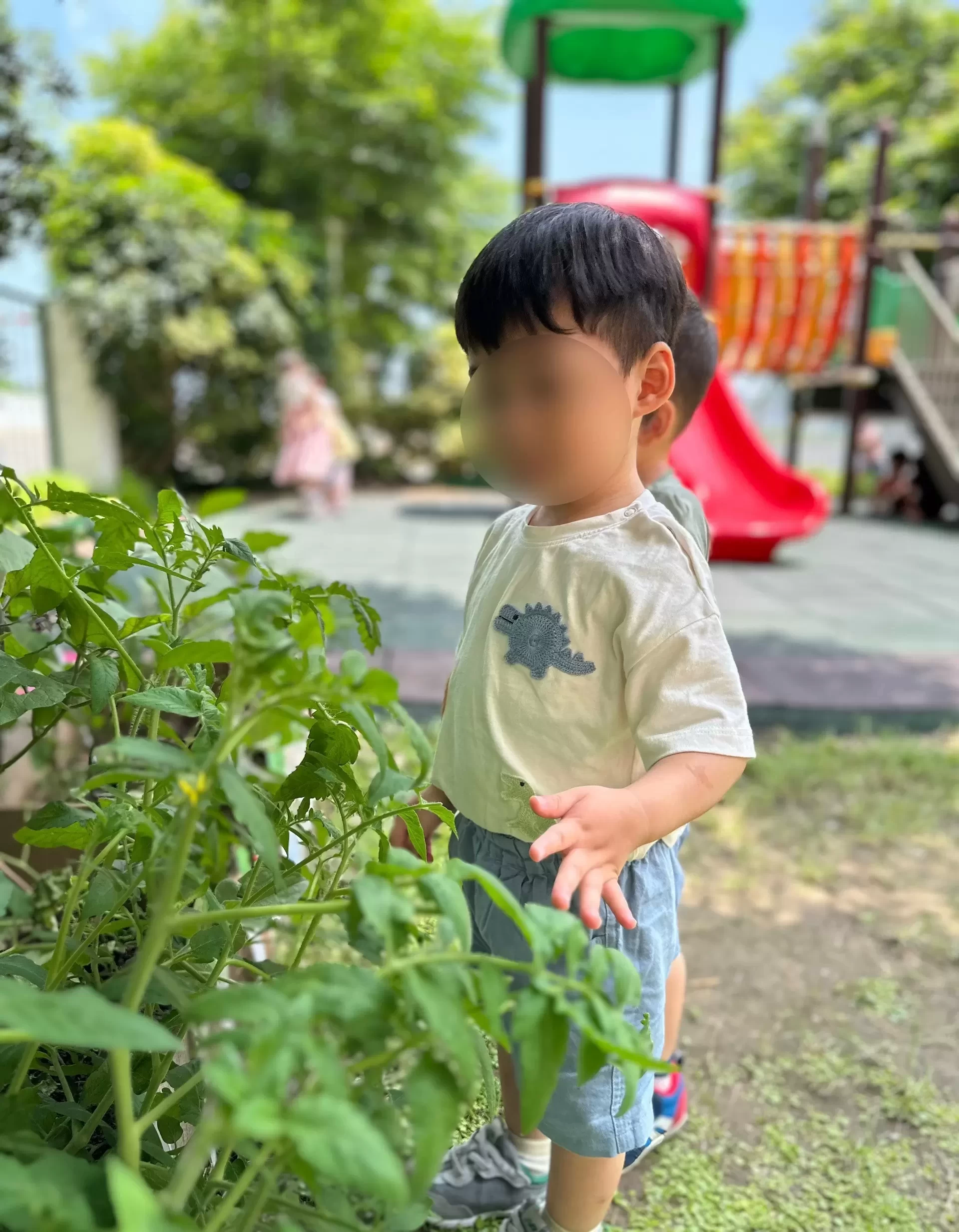 【小小農夫日記 👩🏻🌾】 【小小農夫日記 👩🏻🌾】