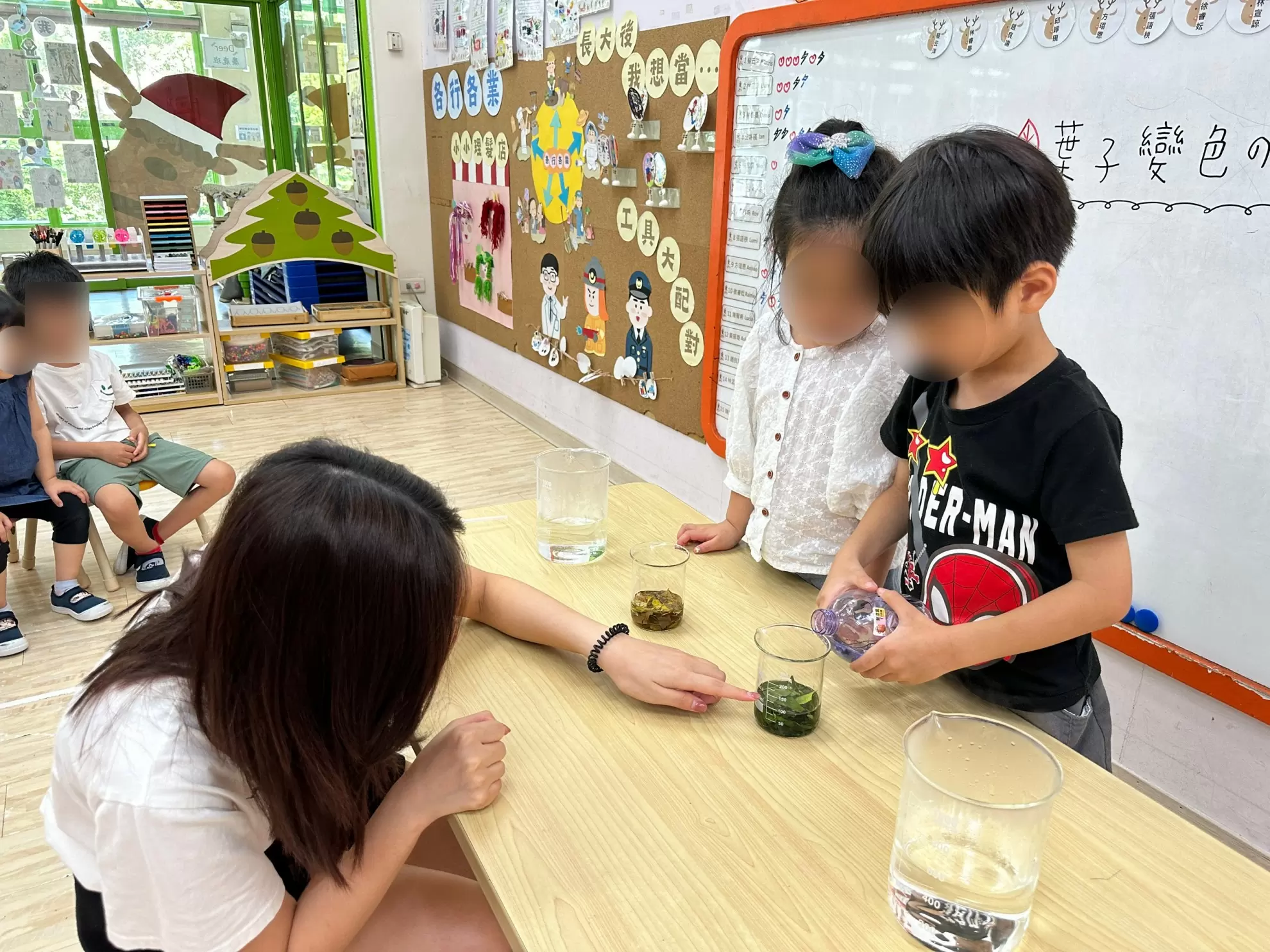 【自然探索|葉子變色小實驗🧪🍃】 【自然探索|葉子變色小實驗🧪🍃】