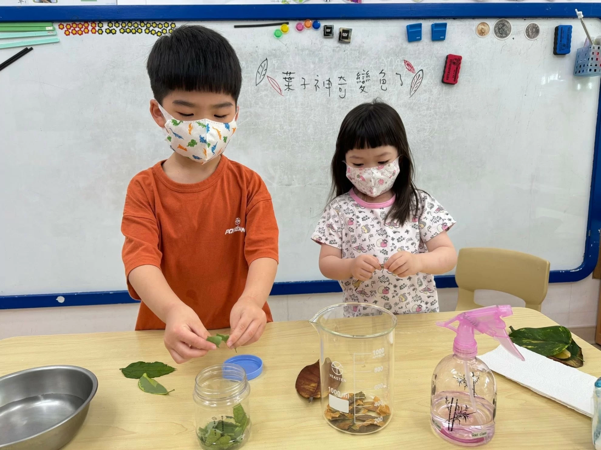 【自然探索|葉子變色小實驗🧪🍃】 【自然探索|葉子變色小實驗🧪🍃】