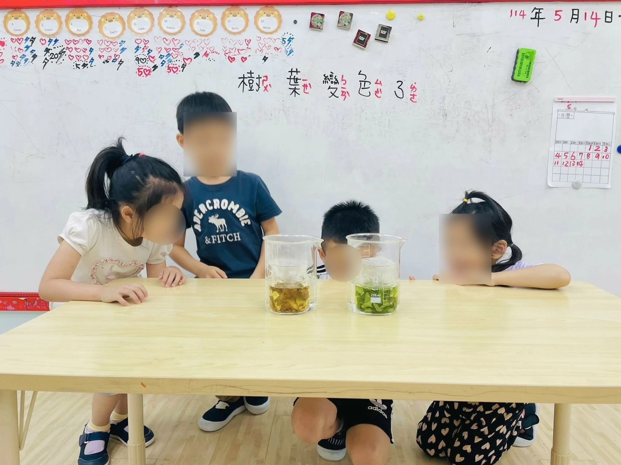 【自然探索|葉子變色小實驗🧪🍃】 【自然探索|葉子變色小實驗🧪🍃】