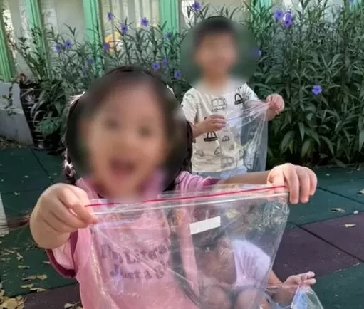 【葉子探險 - 創意壓印🎨🍃】