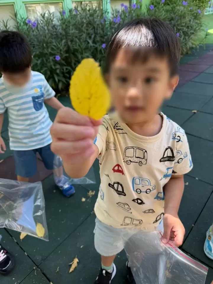 【葉子探險 - 創意壓印🎨🍃】 【葉子探險 - 創意壓印🎨🍃】