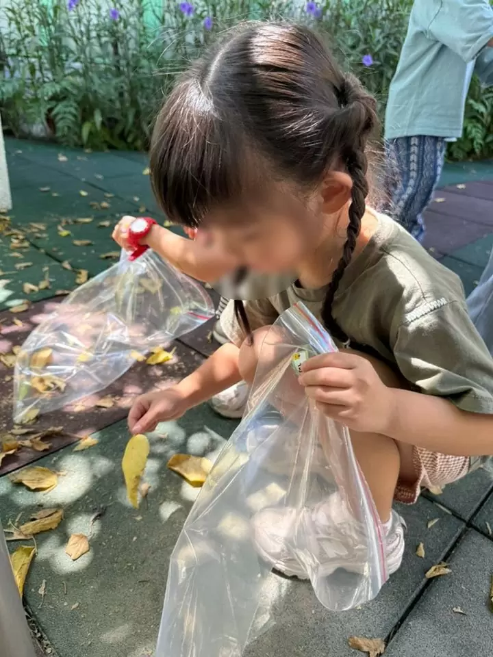 【葉子探險 - 創意壓印🎨🍃】 【葉子探險 - 創意壓印🎨🍃】