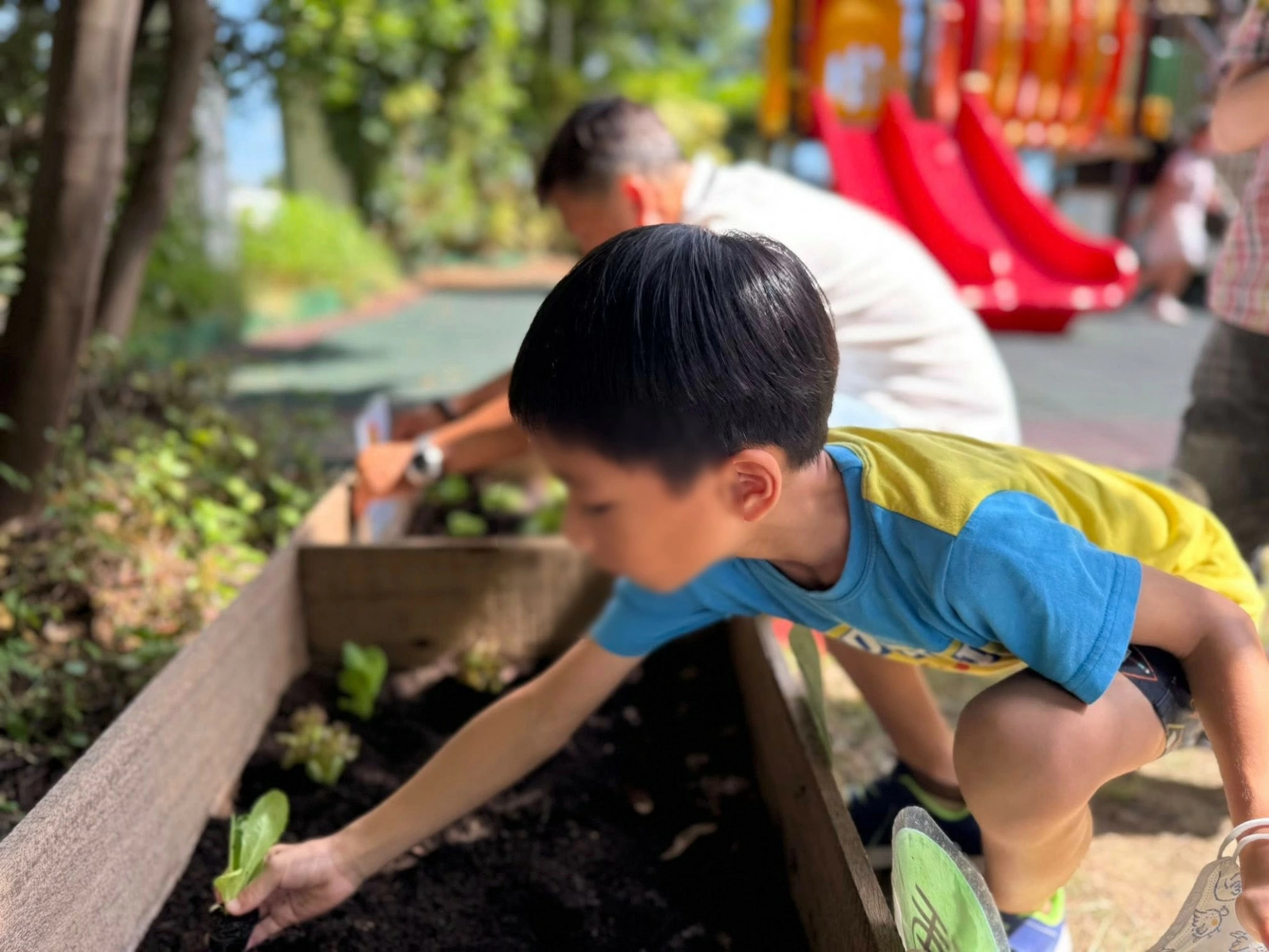 小小農夫日 🧑🏻‍🌾