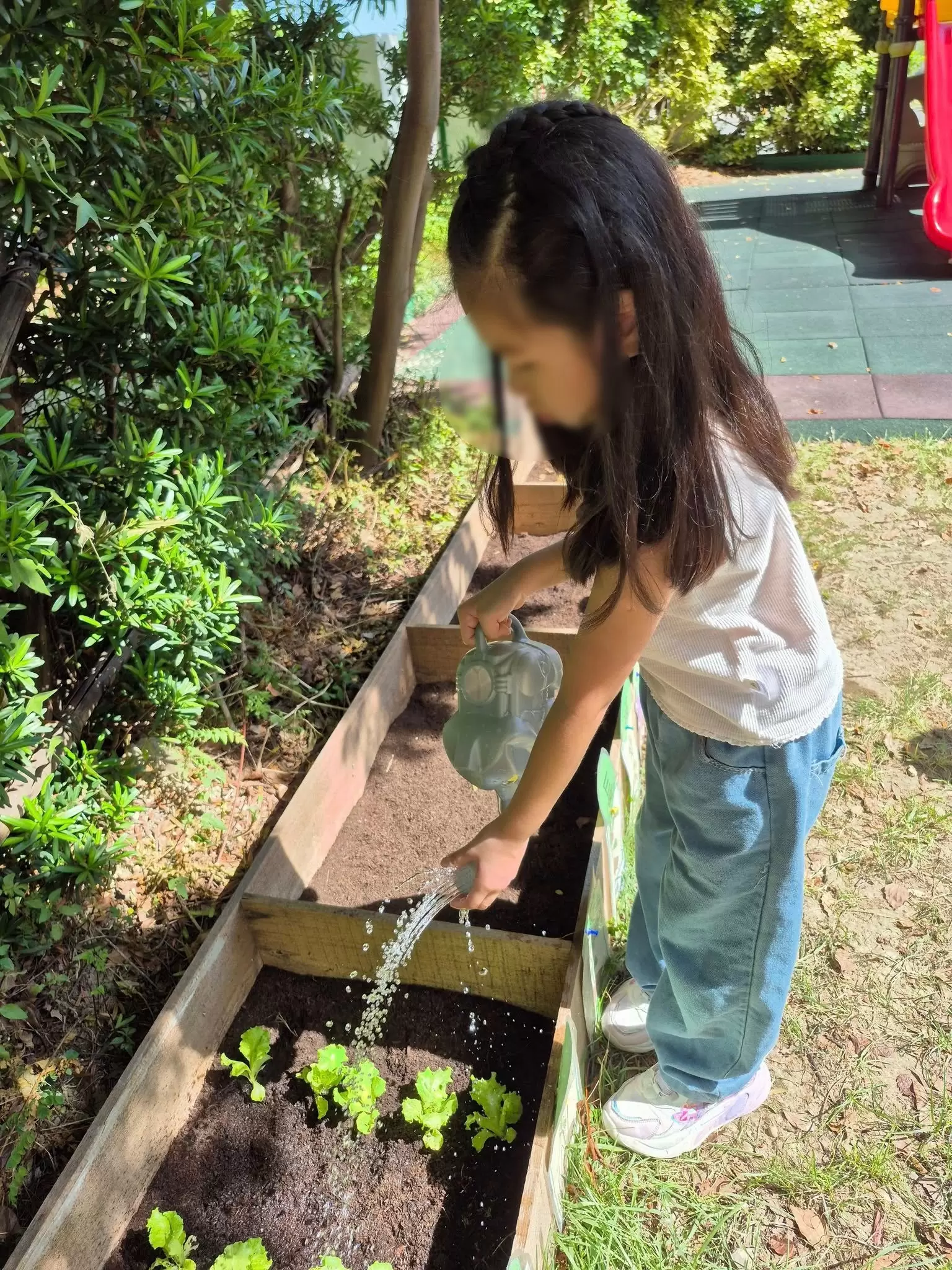 小小農夫日 🧑🏻‍🌾