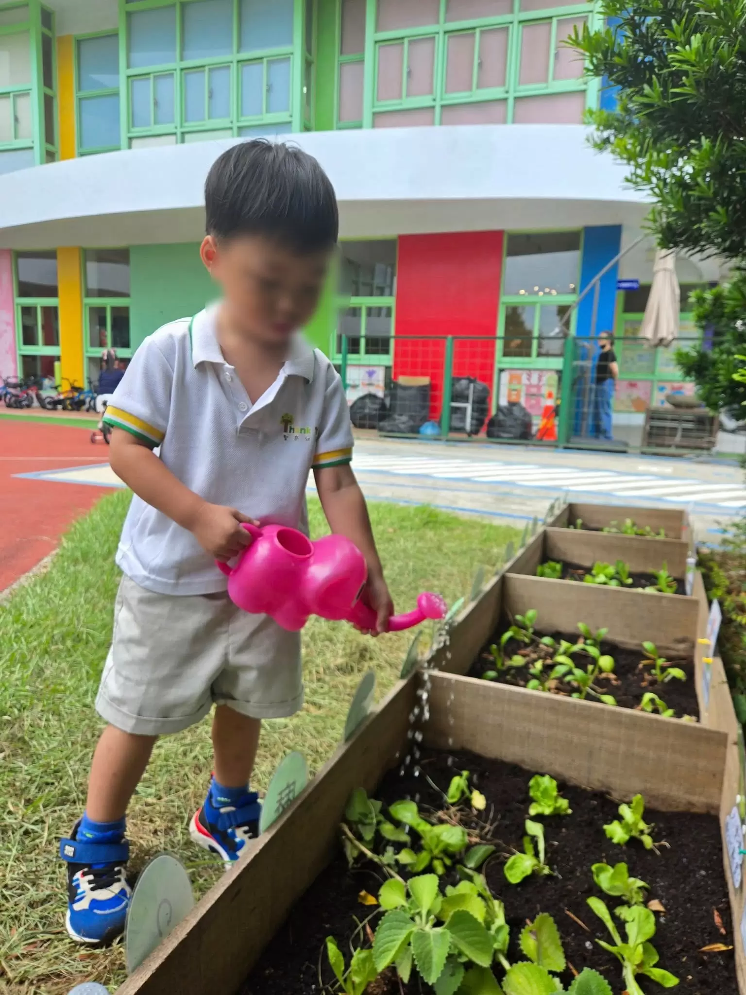 小小農夫日 🧑🏻‍🌾