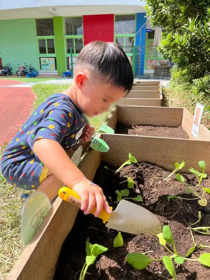 小小農夫日 🧑🏻‍🌾
