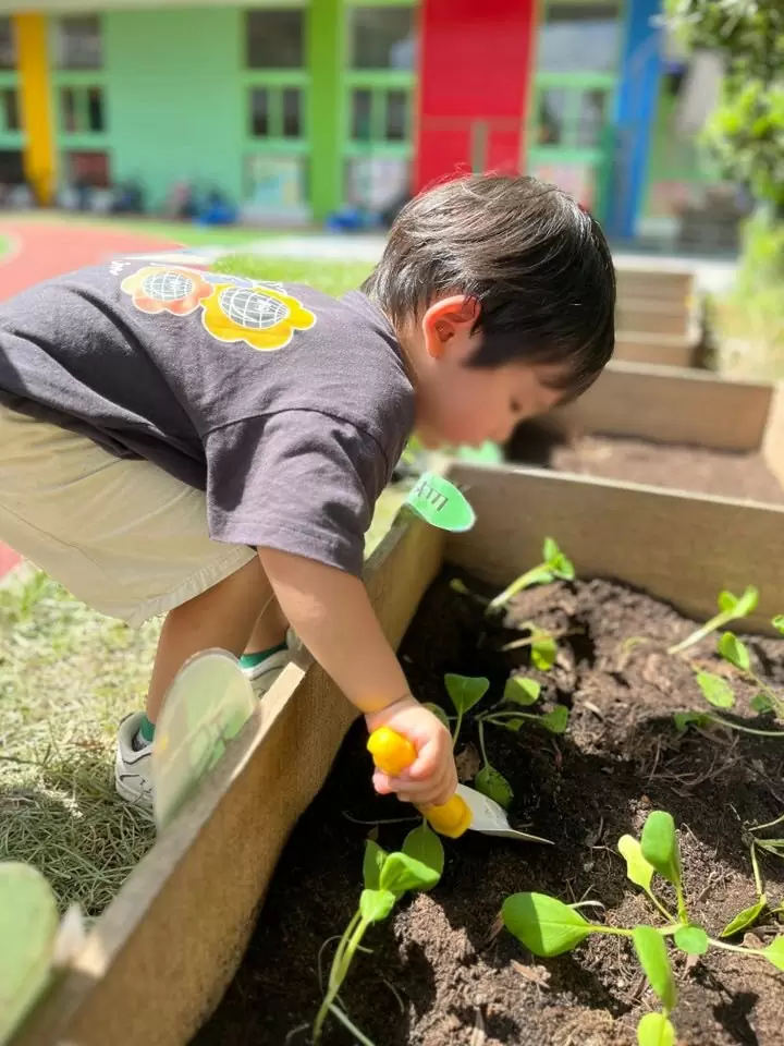 小小農夫日 🧑🏻‍🌾