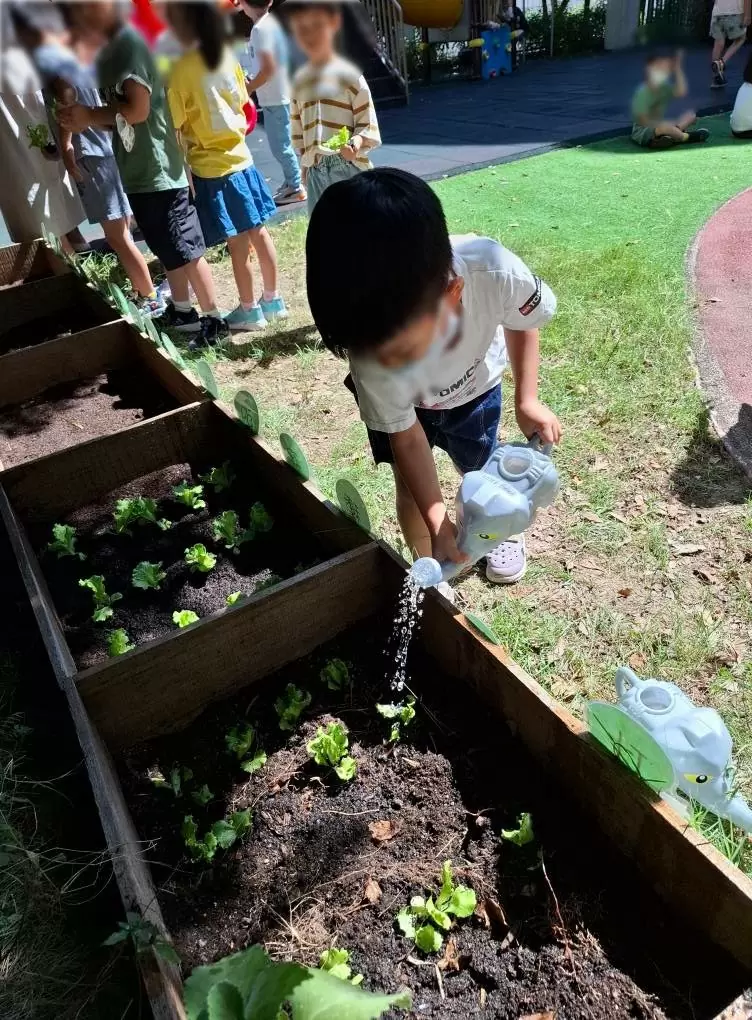 小小農夫日 🧑🏻‍🌾
