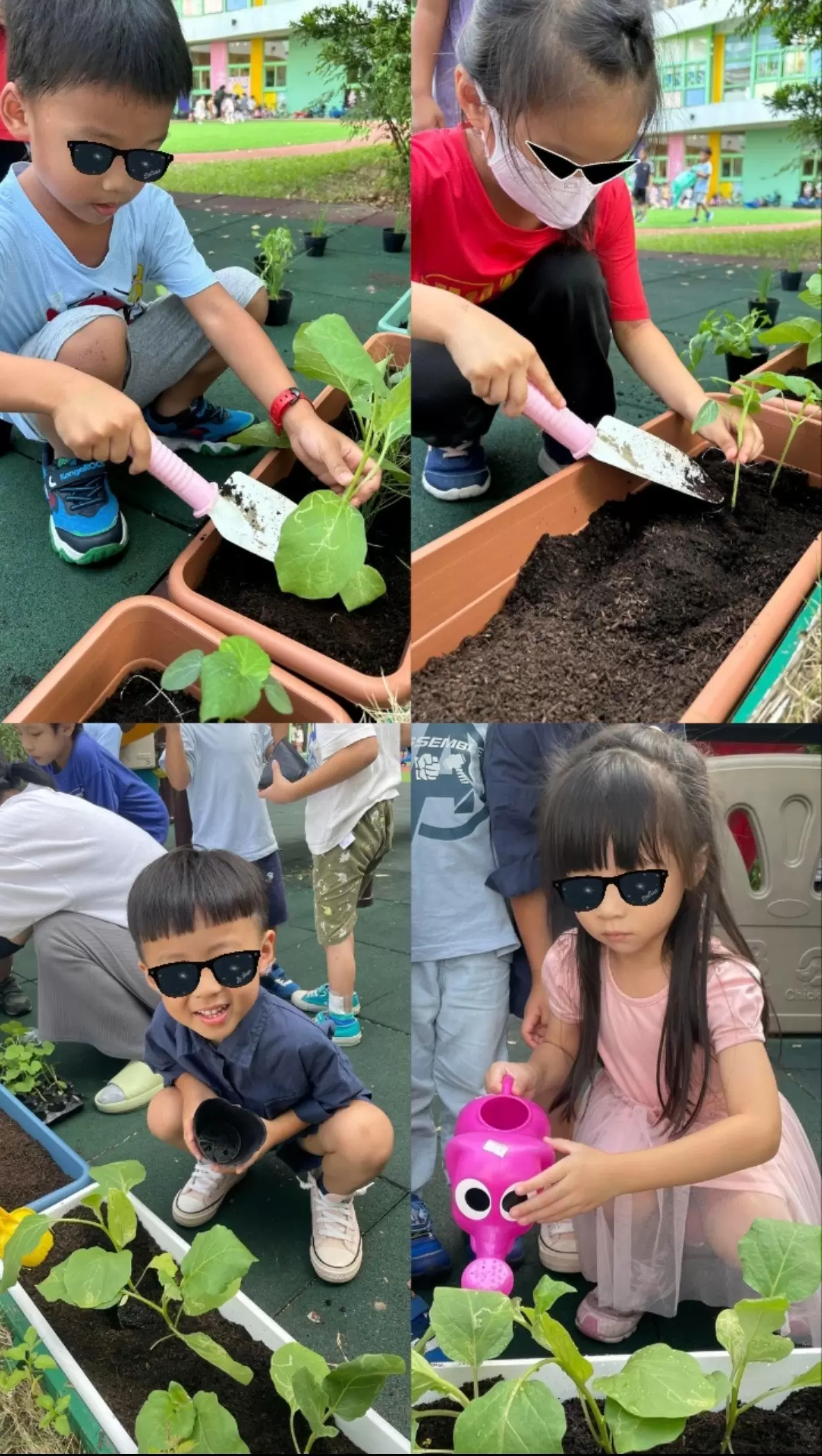 ❤️~開心農場~ ❤️