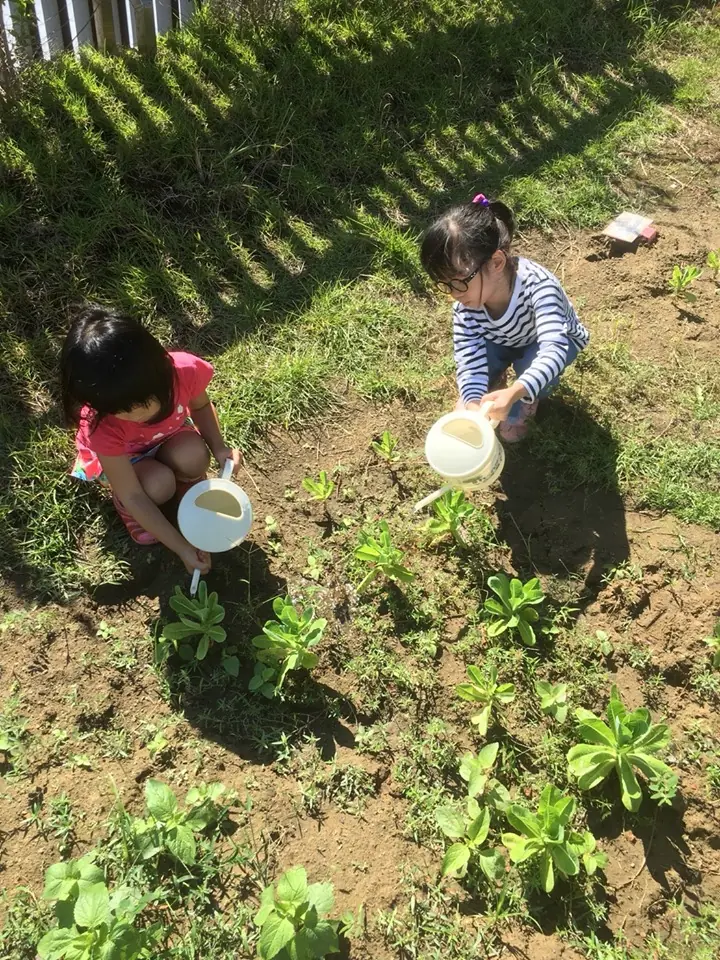 小小農夫日，寶貝們體驗了種菜的樂趣之外也感受到了農夫工作的辛苦，更能體會到粒粒米飯得來不易